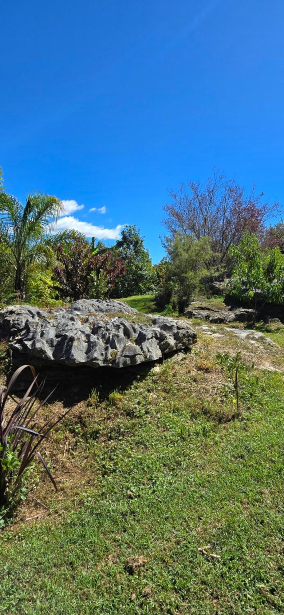 The Rocks Chalets Takaka Εξωτερικό φωτογραφία